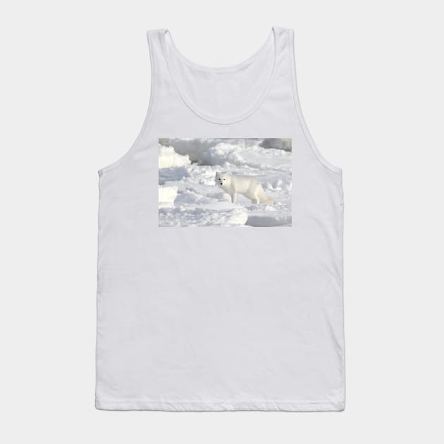 White on White. Arctic Fox #1, on the Tundra, Hudson Bay, Canada Tank Top by Carole-Anne